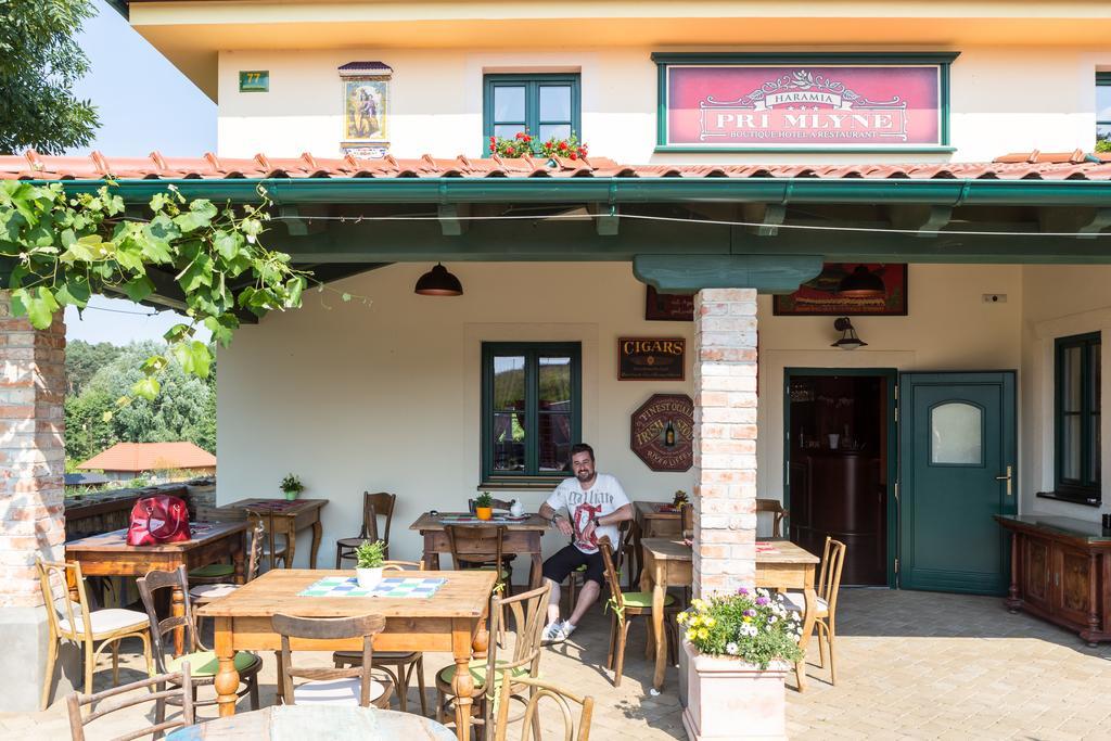 Boutique Hotel Pri Mlyne Лозорно Экстерьер фото